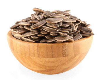 بزر شمس