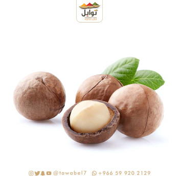 مكاديميا