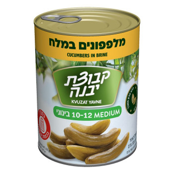 مخلالات